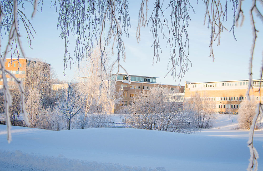 Umeå universitet. Fotograf: Ulrika Bergfors Kriström