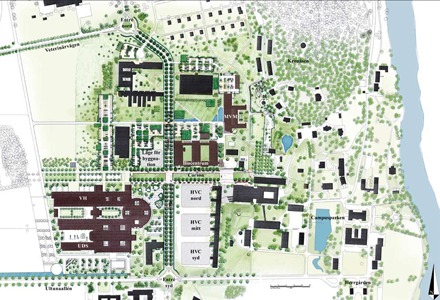 Vision för Campus Ultuna, juni 2008